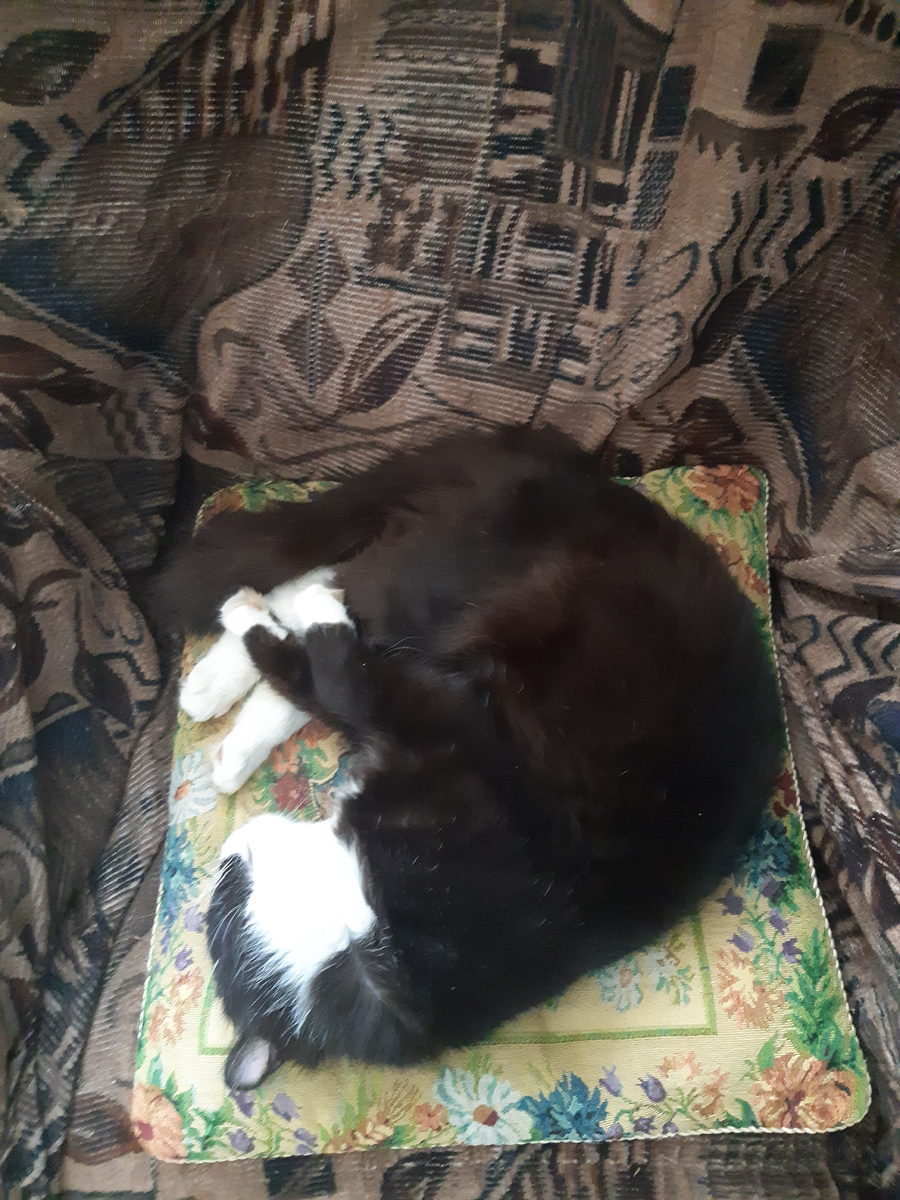 Йося Конь - Юхов.