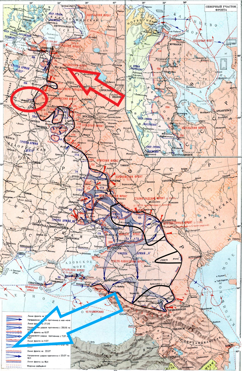 (Фото взято из открытых источников).