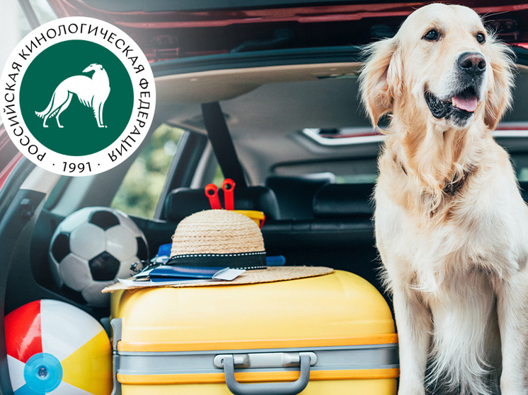     фото кинологической ассоциации