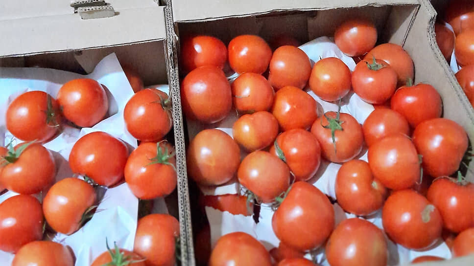 Фото: Россельхознадзор Тюменской области, ХМАО и ЯНАО