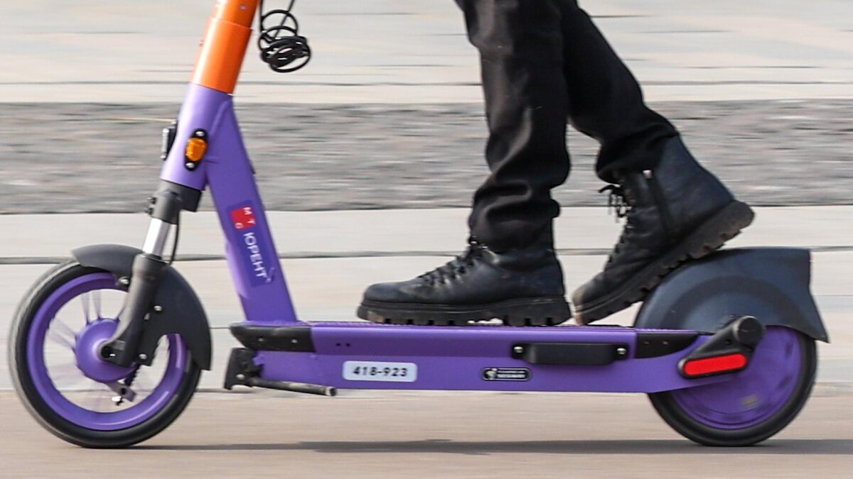    Фото: Petrov Sergey/news.ru