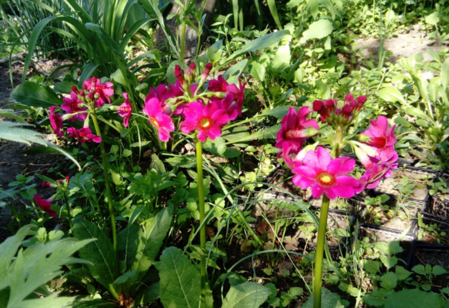 тоже не сейчас