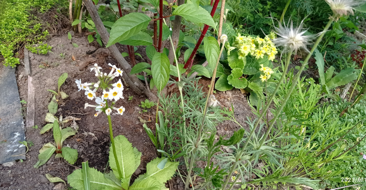 два года назад
