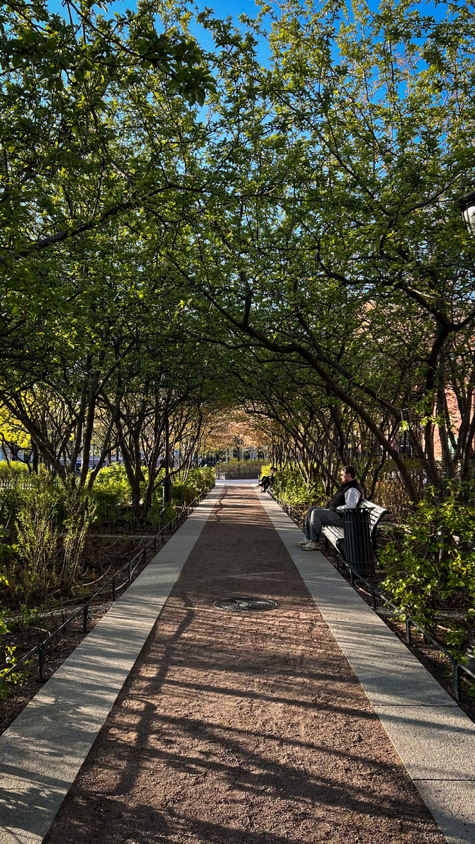 Фото 8. Мини-садик с лавочками.