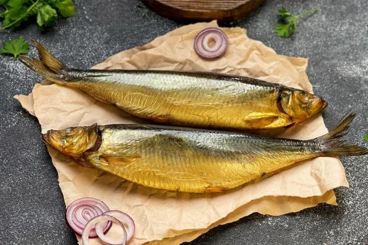 Сельдевая путина на Дунае