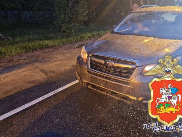    Фото: телеграм-канал "Подмосковная полиция"