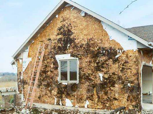 ОСП-рулетка: покрасишь одним - сгниёт, другим - облезет. Как защитить OSB от воды и солнца раз и навсегда