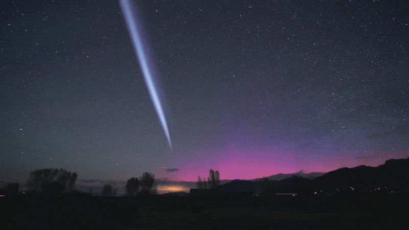 Анимация: : Mike Lewinski (Flickr) / CC BY 2.0  📷
