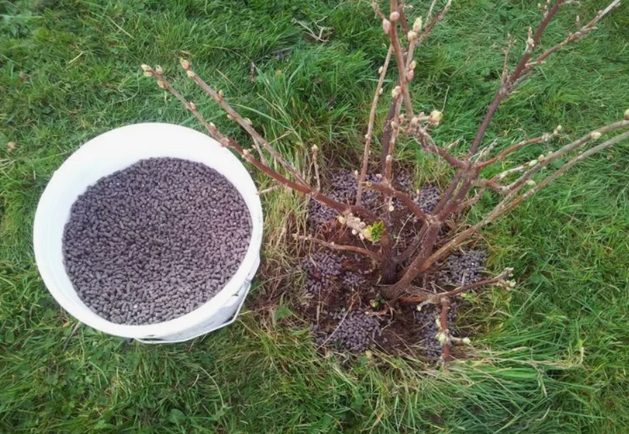 комплексное минеральное удобрение 