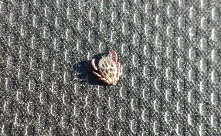    Фото: Курские известия