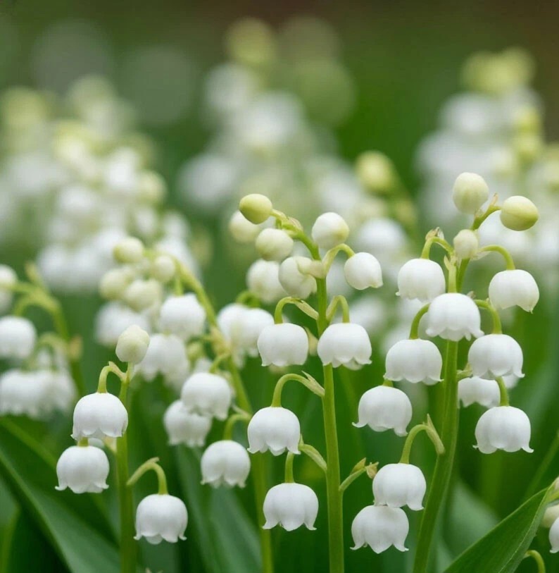 Картинку рисовал ИИ