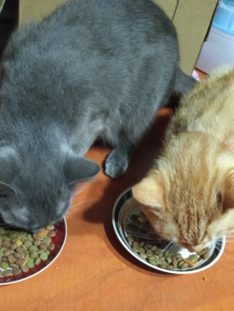 Лишь бы отстали от неё!