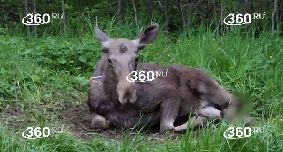    360.ru