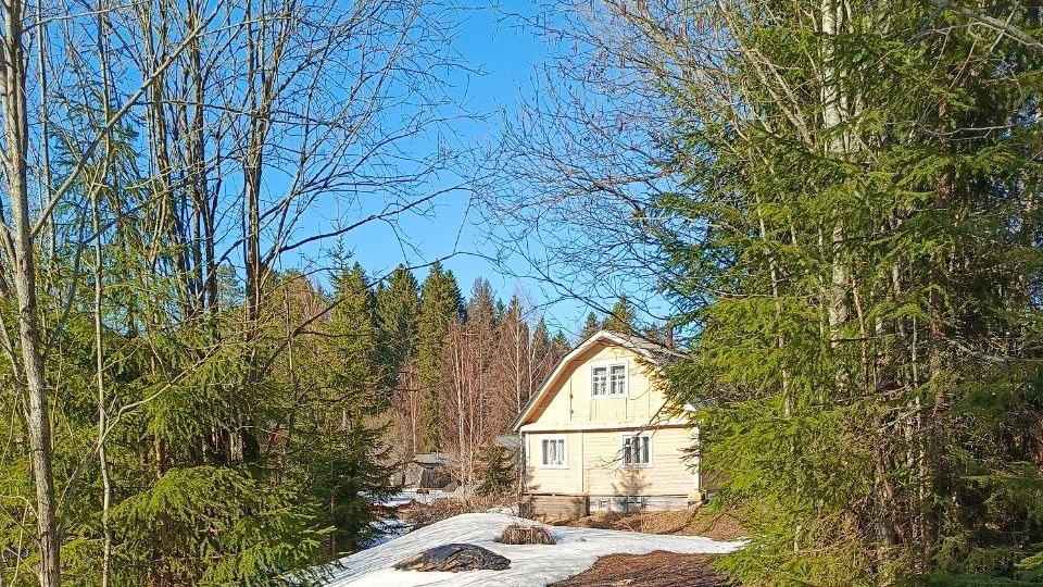 Открыла дачный сезон 2025