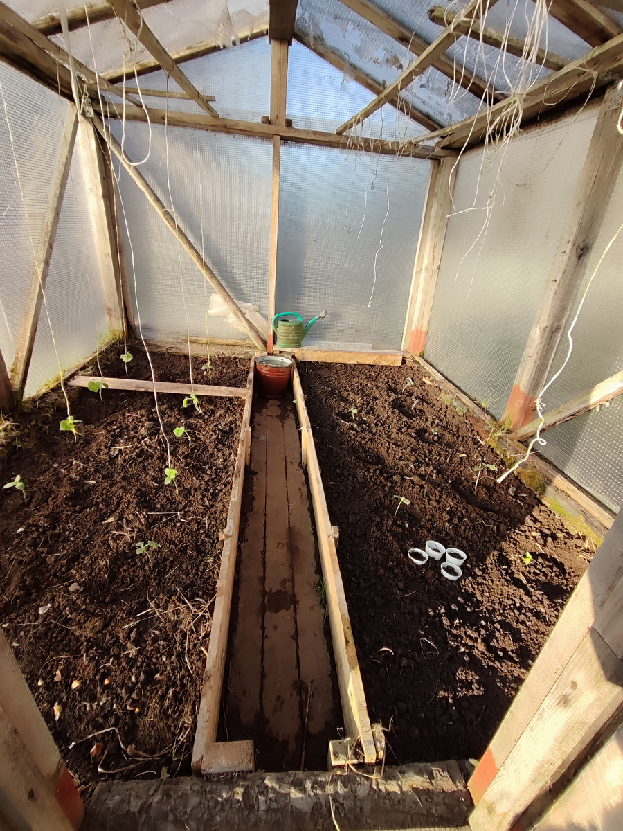 Глаза страшатся, руки делают.