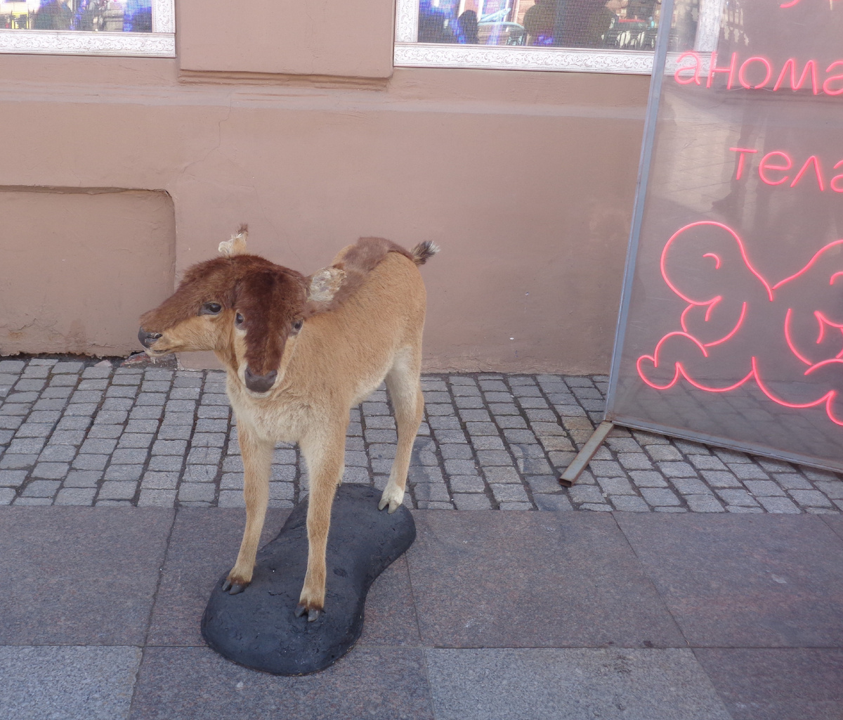 Фото автора.