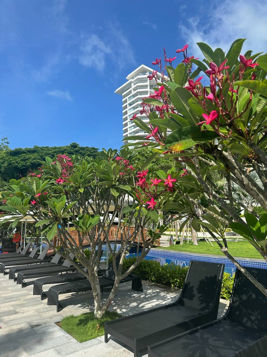 Территория отеля Sanya Junji Seaview Hotel