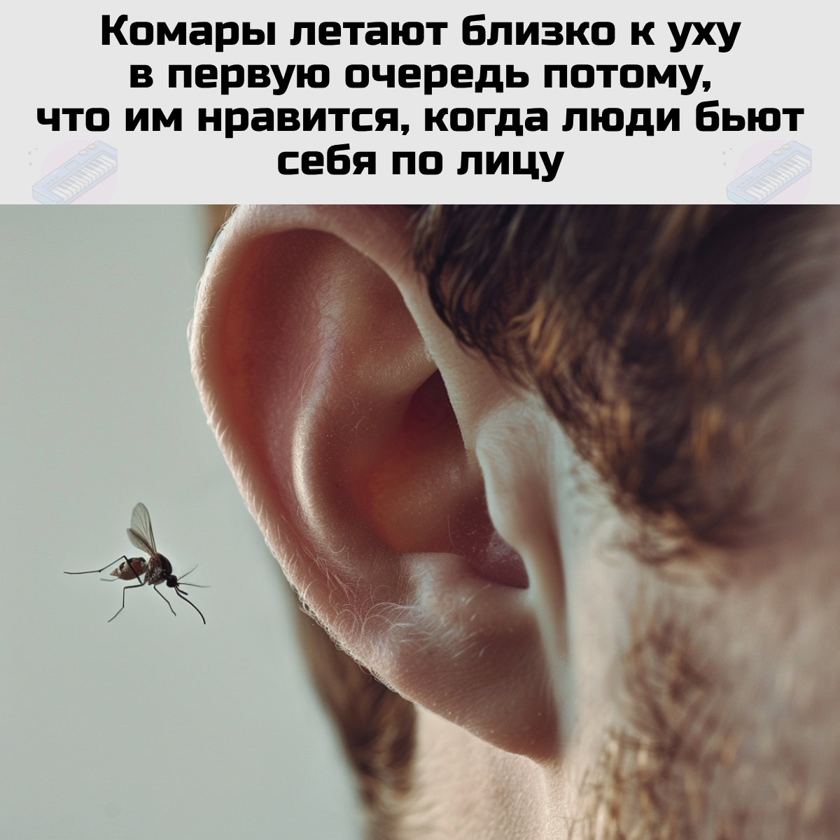 Здравствуй, лето! Не буду врать, что я скучала -3