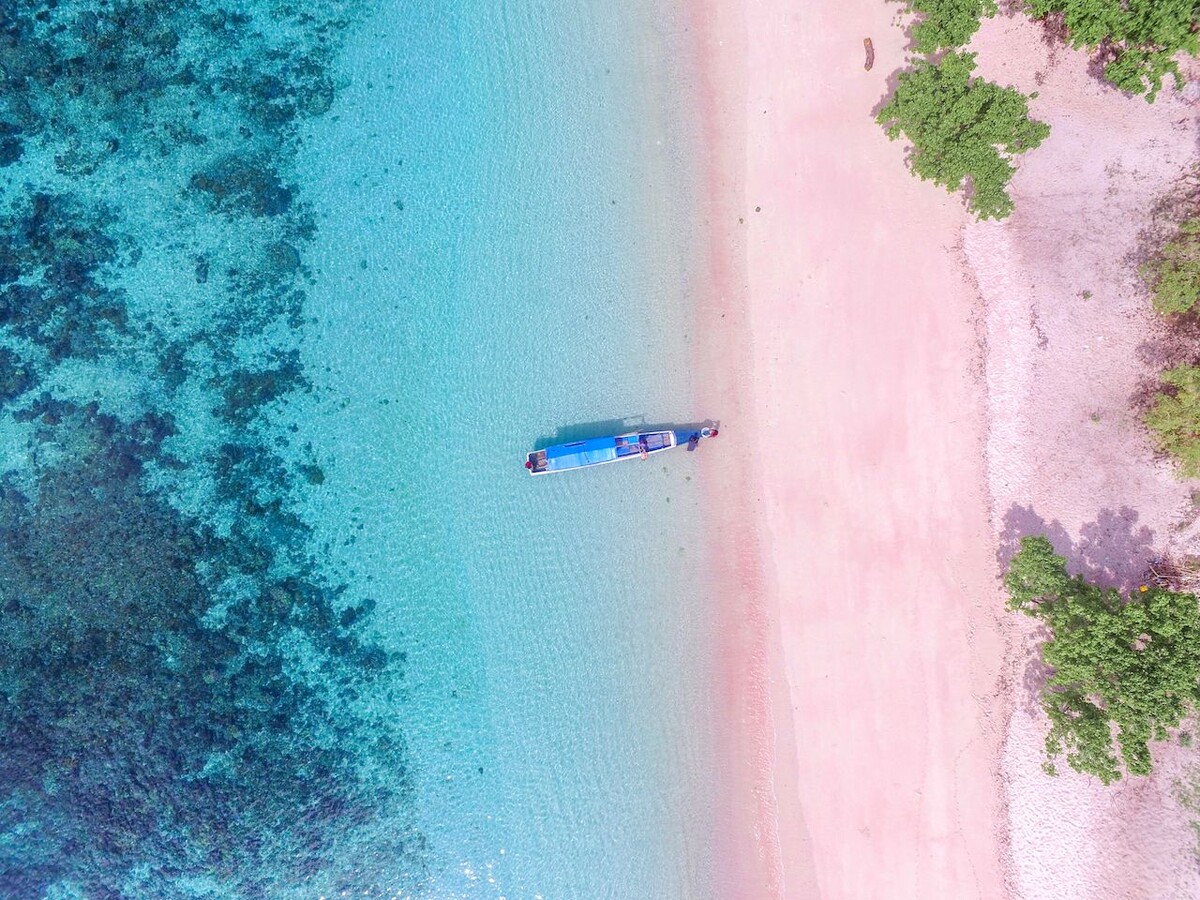 Фото взято здесь: https://clck.ru/3MAQqg