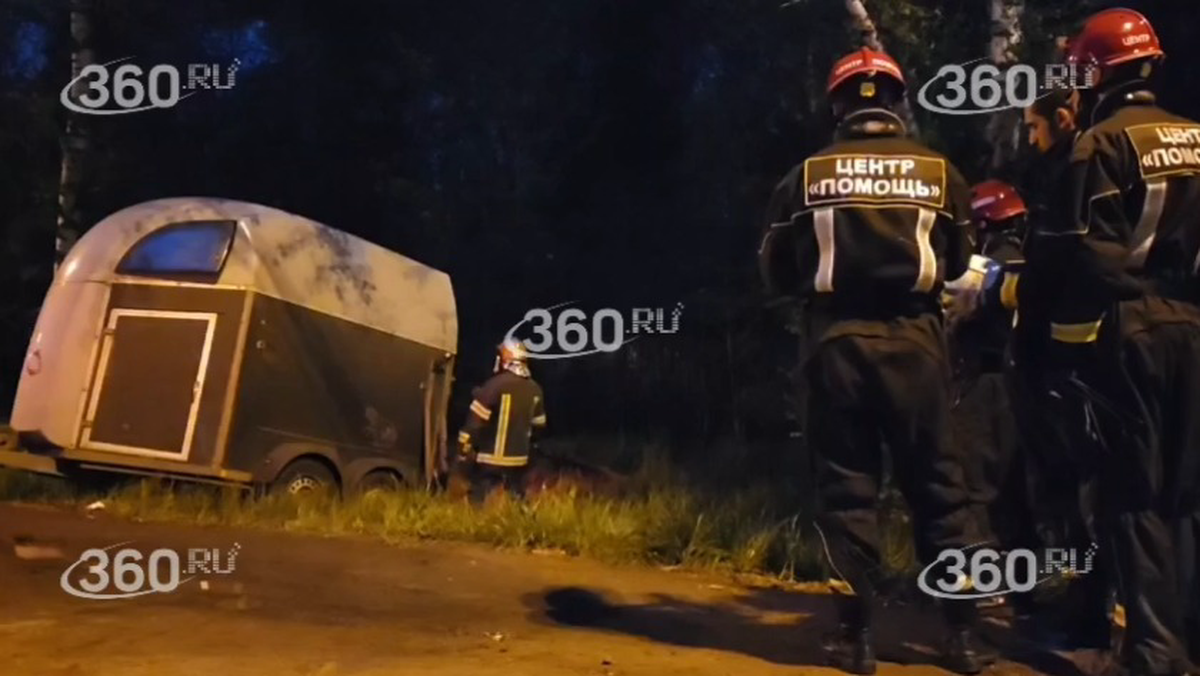    Фото: 360.ru / Telegram / скриншот