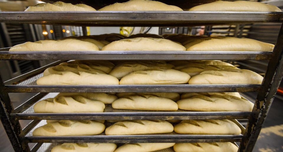    фото: Медиасток.РФ