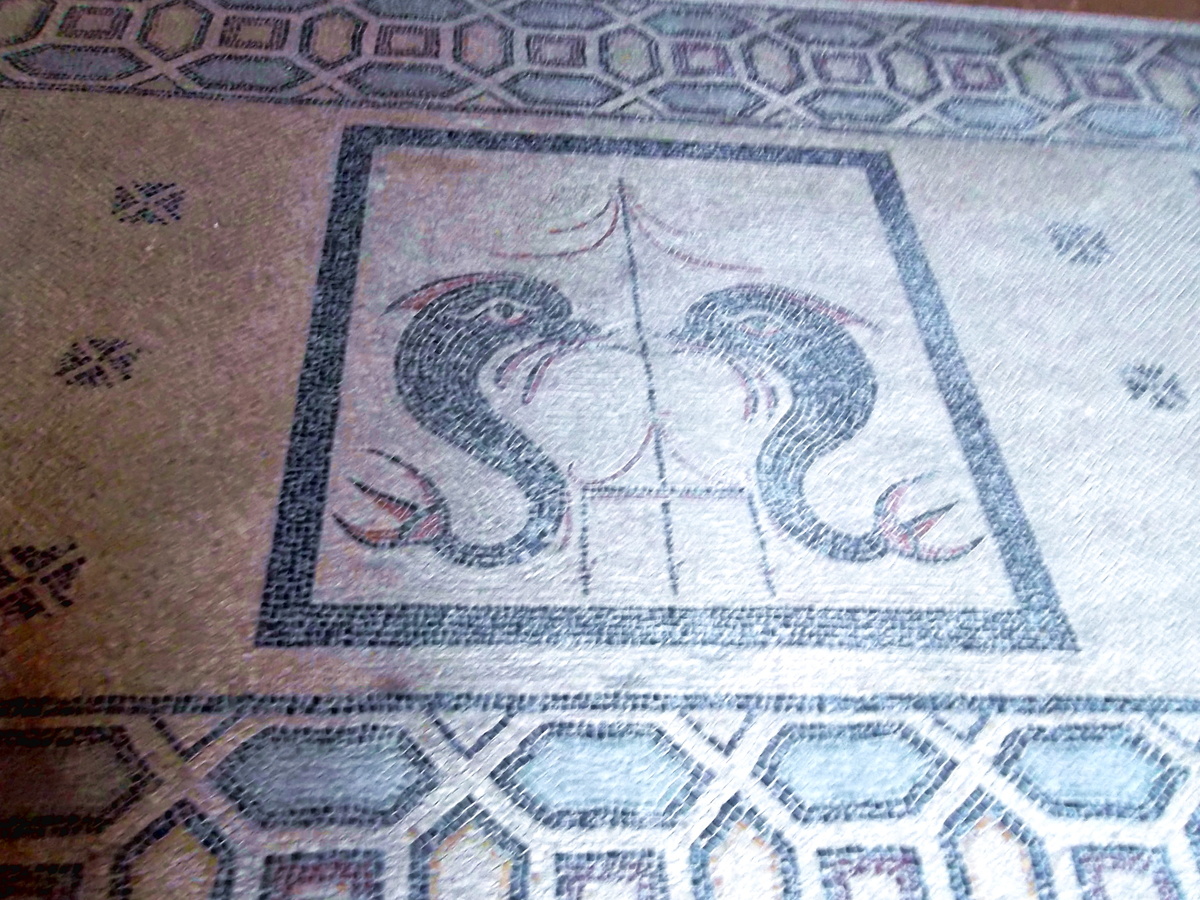 Античная мозаика с острова Кос. Родос, Дворец Великих Магистров. Фото автора