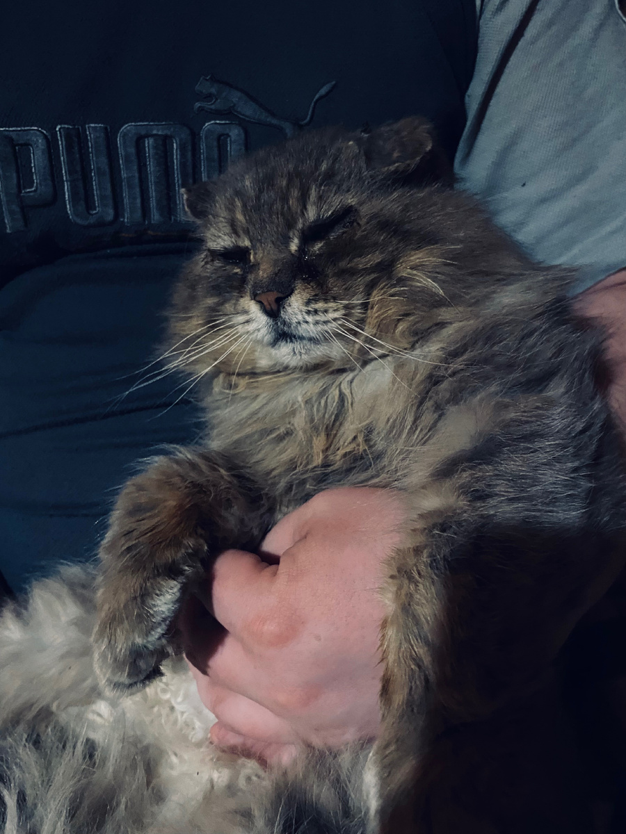 Главкот, как ты думаешь, может мне и в доме ревизию провести?