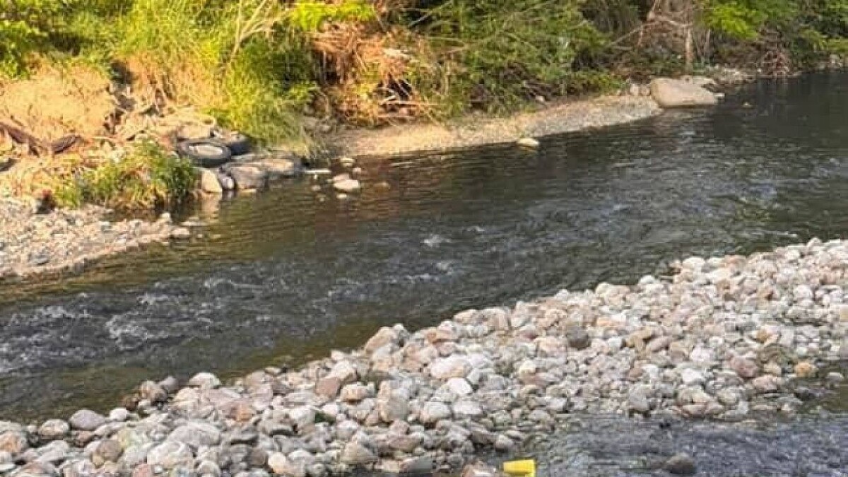    Фото: t.me/sochitypical