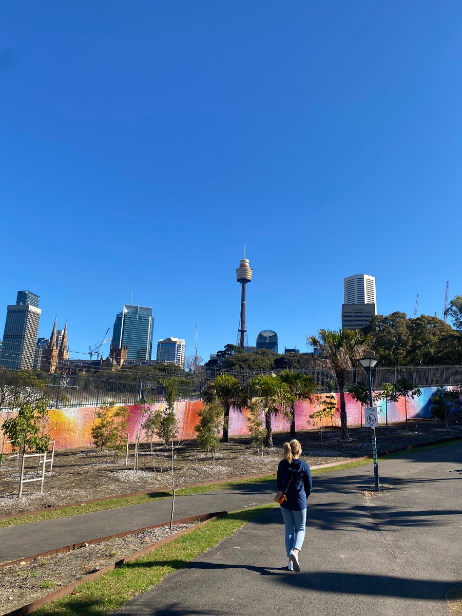 Убранство к WWC2023