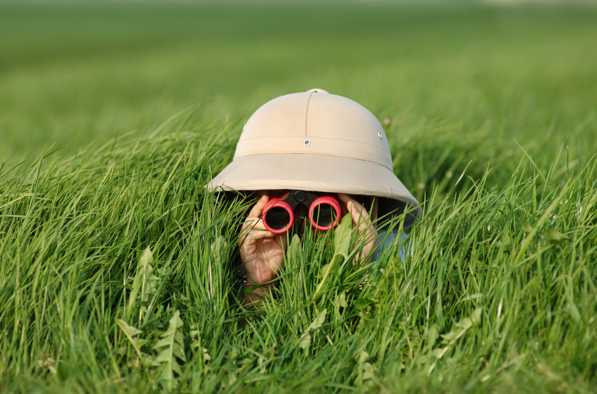 Maartje van Caspel/istock