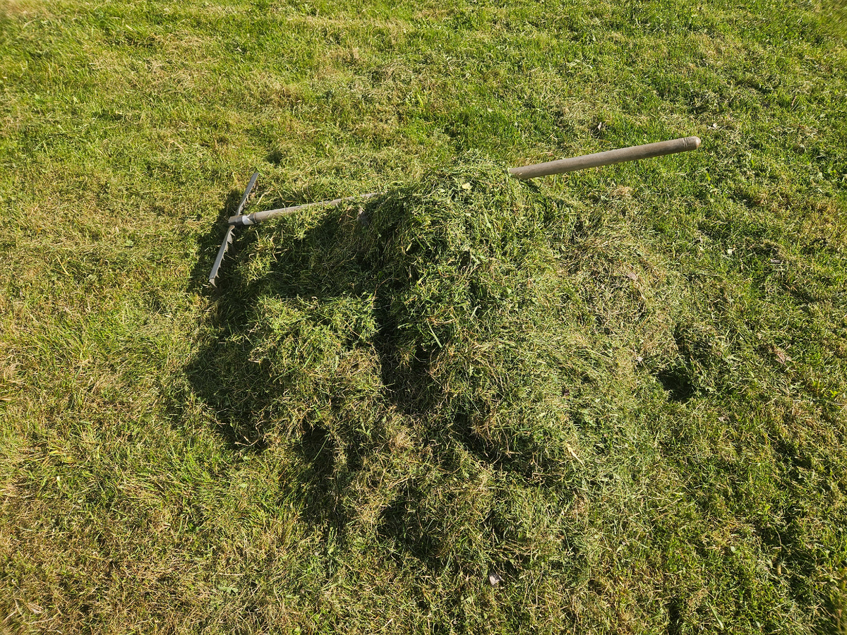 Первый сенокос.