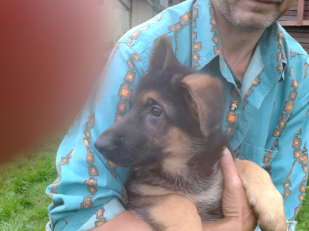 Наивные глаза