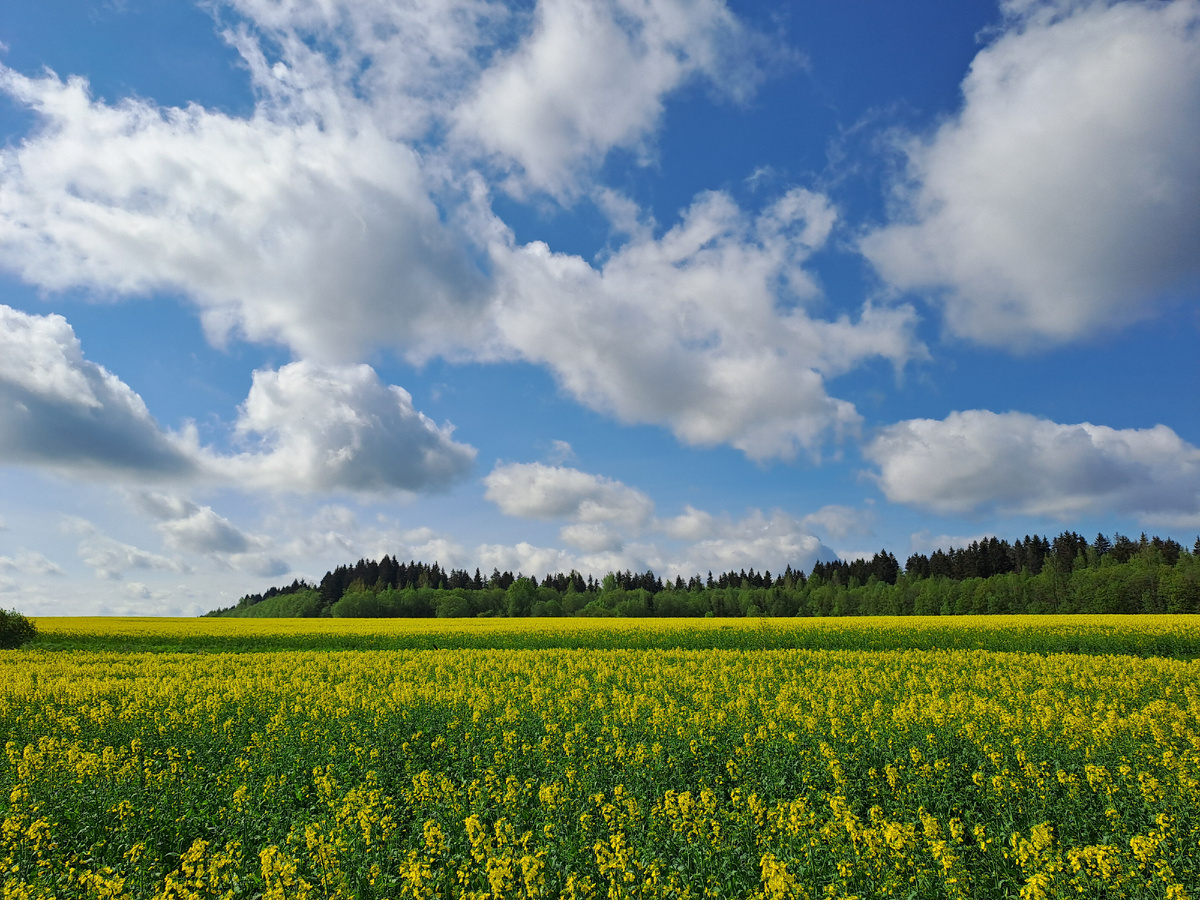 Фото автора. Чтобы вы понимали, куда меня нелегкая заносит.