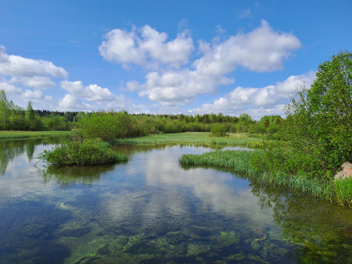 Ещё немного красивостей из той области. Фото так же моё 