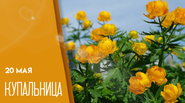    Фото: tvsamara.ru Веселовские вести