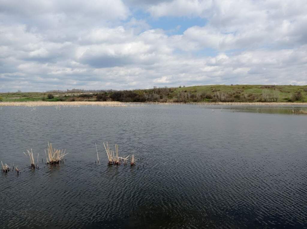   Фото: Л. Казмерова. Галина Ященко