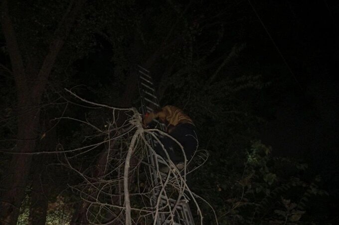   Фото: Минэнерго