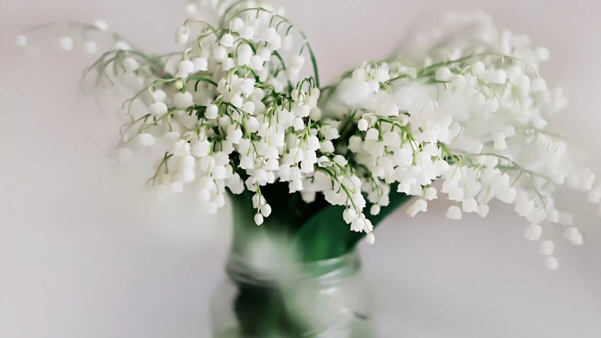     Источник: freepik.com