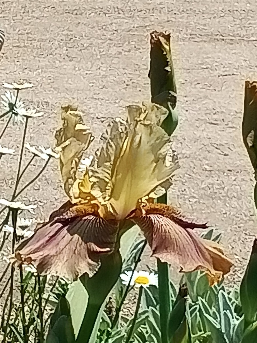 Фото Галины Малышевой.