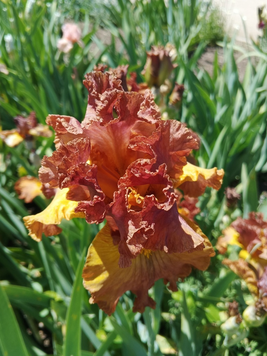 Фото Галины Малышевой.