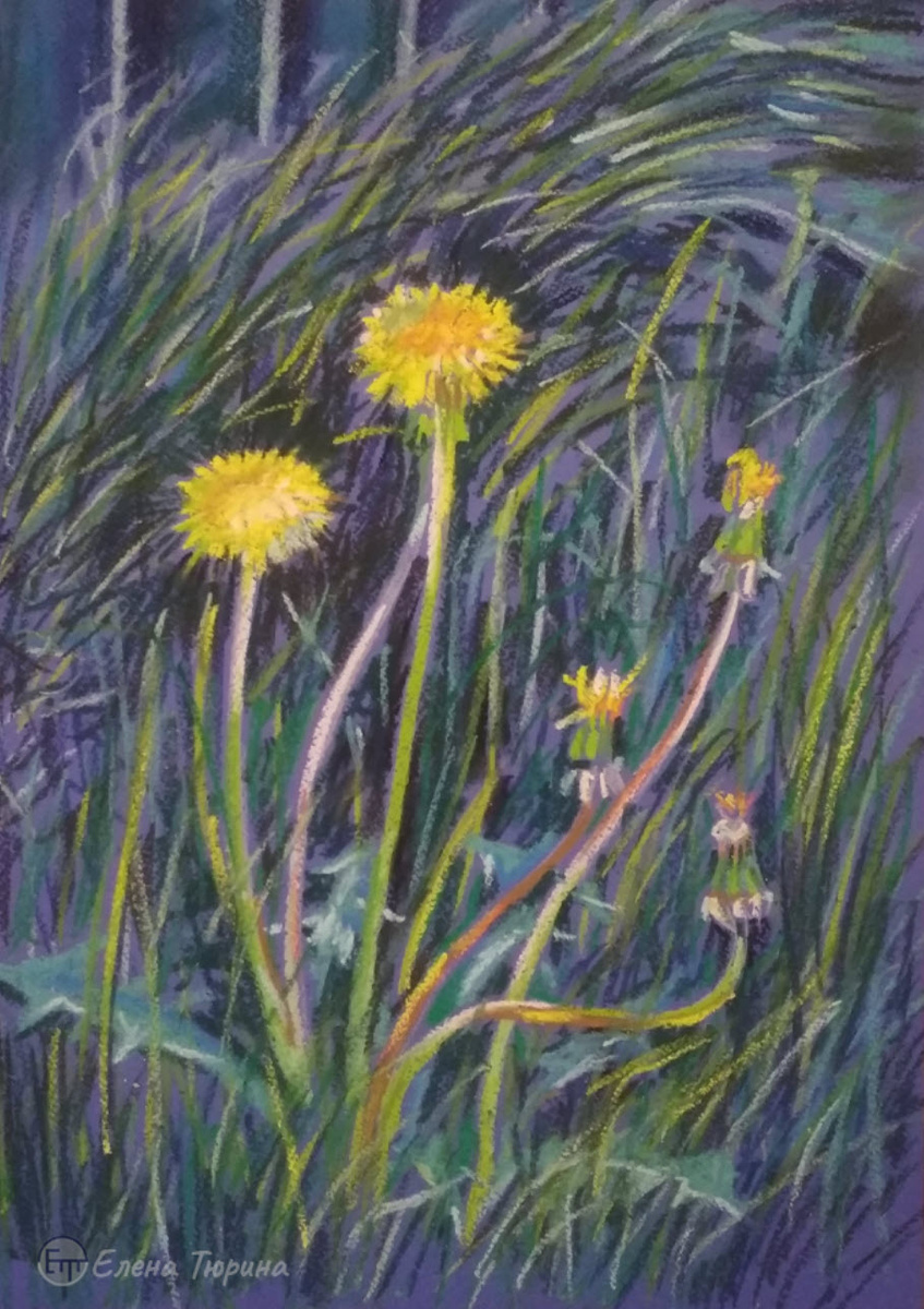 Художник Елена Тюрина. "Одуванчики". Бумага. Сухая пастель. 2021 г. Размер: 41,8х29,7 см.