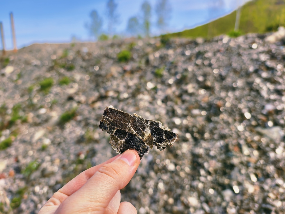 Это тоже слюда.