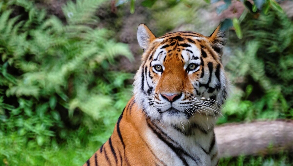     Источник: freepik.com