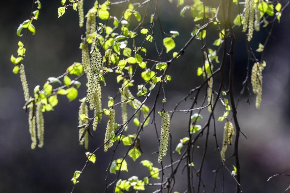    Сергей Булкин/NEWS.ru