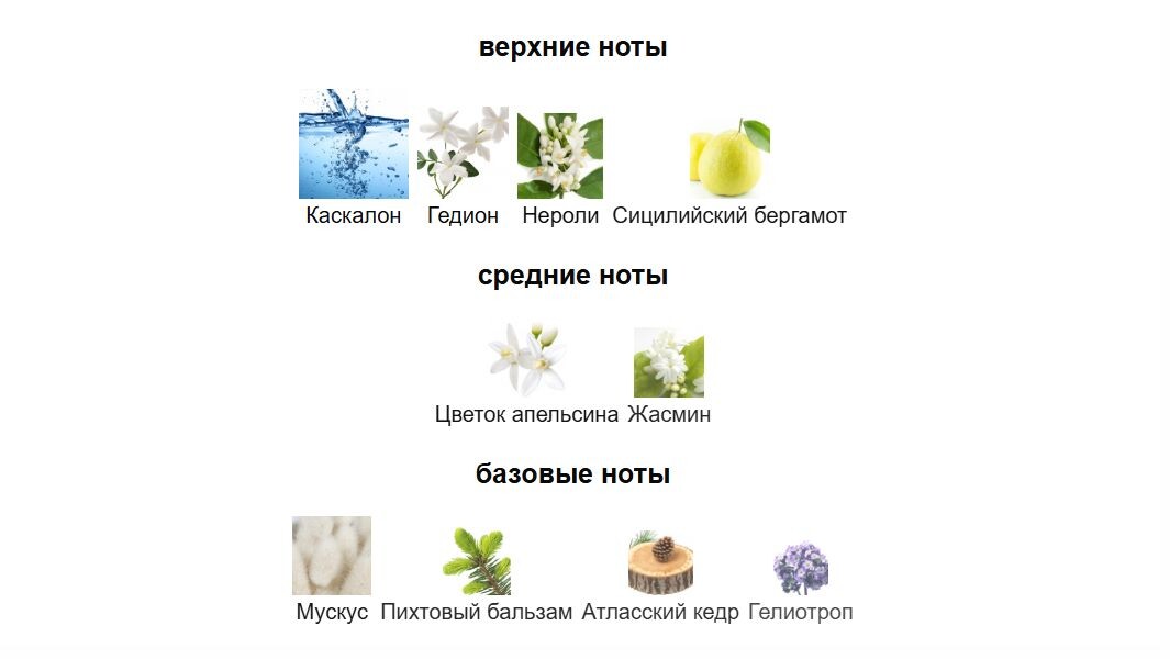 fragrantica.ru