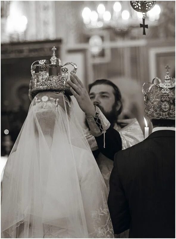 Изображение взято из открытых источников интернета. 