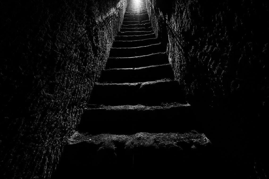 Изображение взято из открытых источников интернета. 