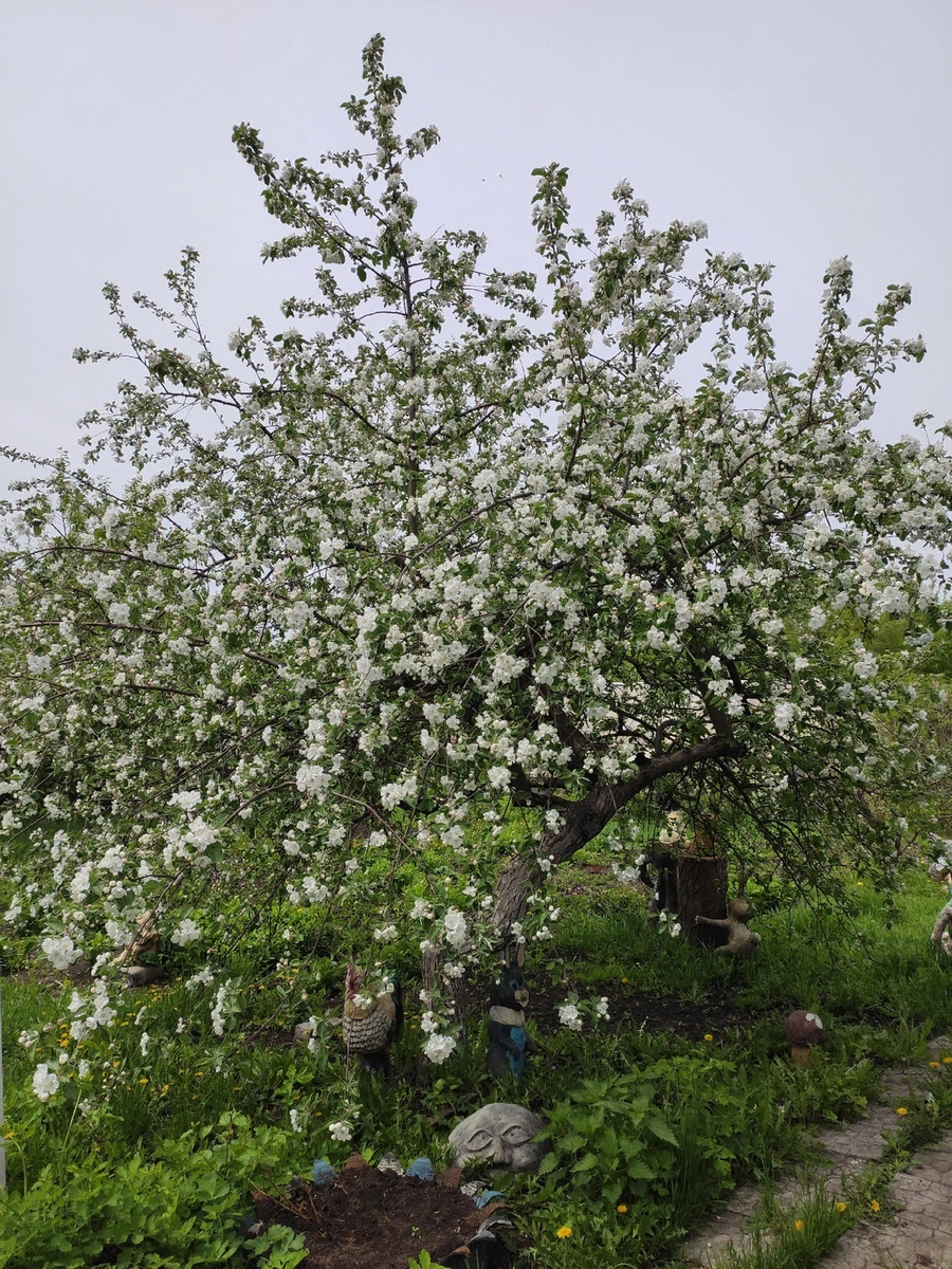 Ранетке уже 30 лет. Снимала в понедельник