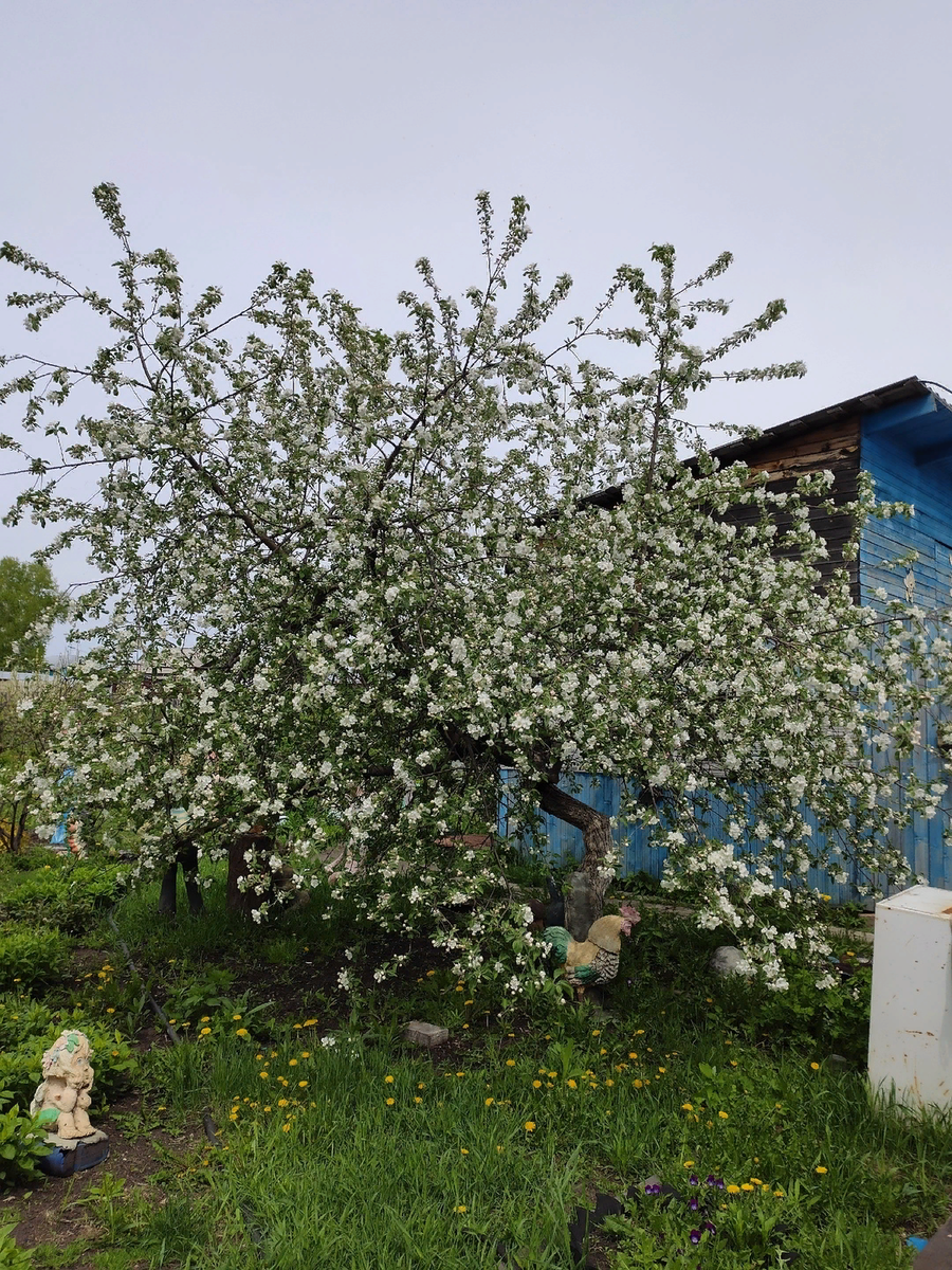 Понедельник. Какая Красота!