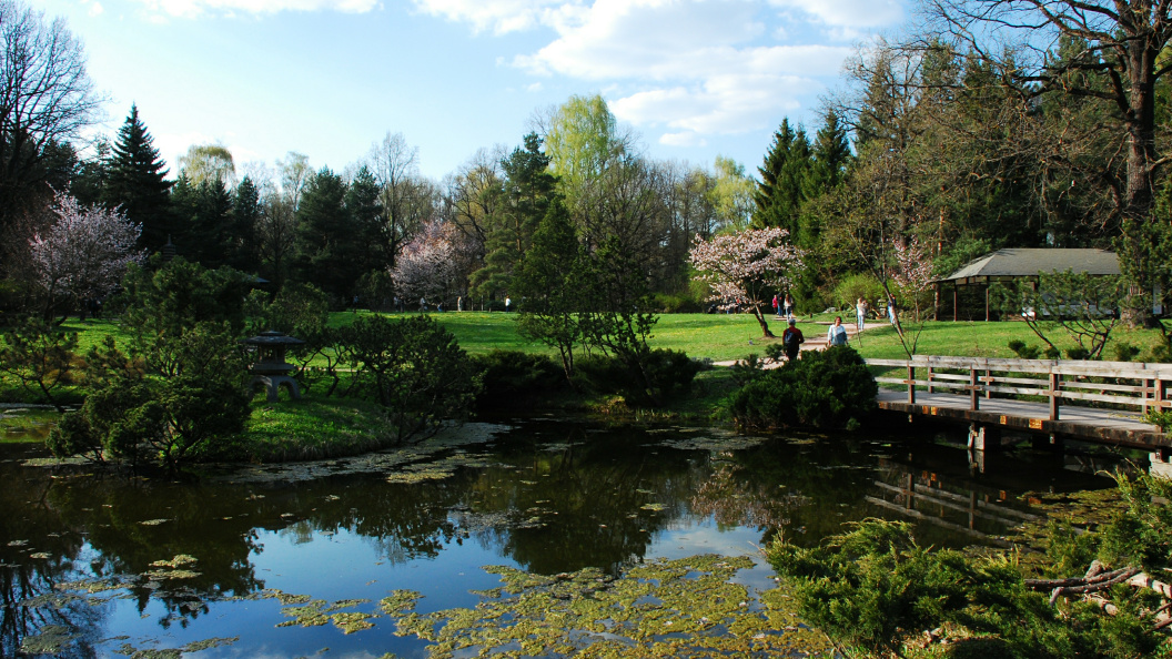    Фото: Alexander Legky/Globallookpress